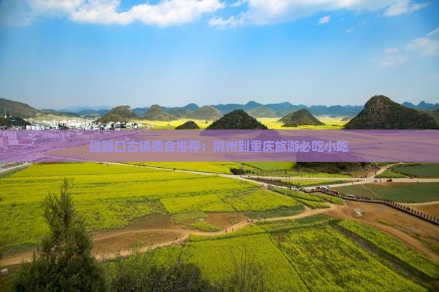 荆州到重庆磁器口旅游小吃