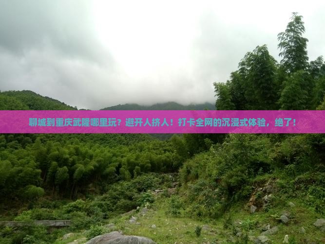 聊城到重庆武隆哪里玩