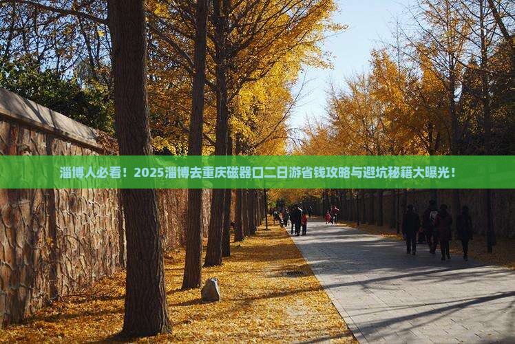 淄博去重庆磁器口二日游
