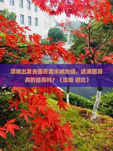 渭南去重庆龙水峡地缝团体旅游
