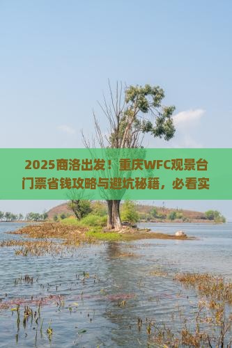 商洛去重庆wfc观景台门票