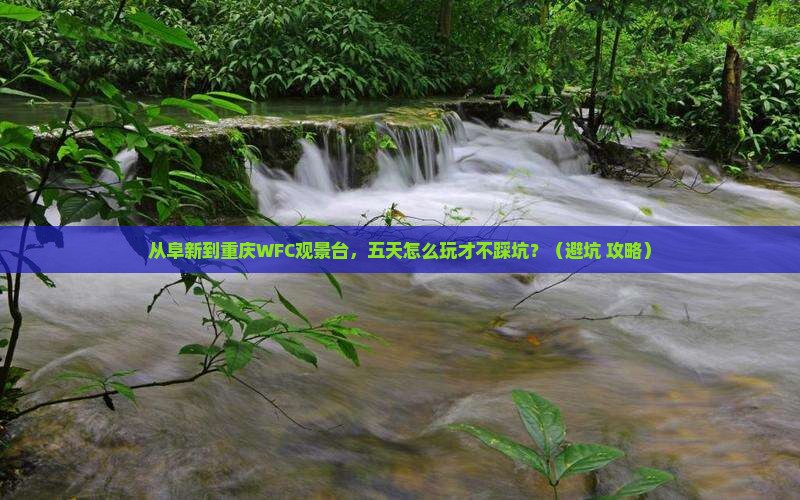 阜新到重庆wfc观景台五日游