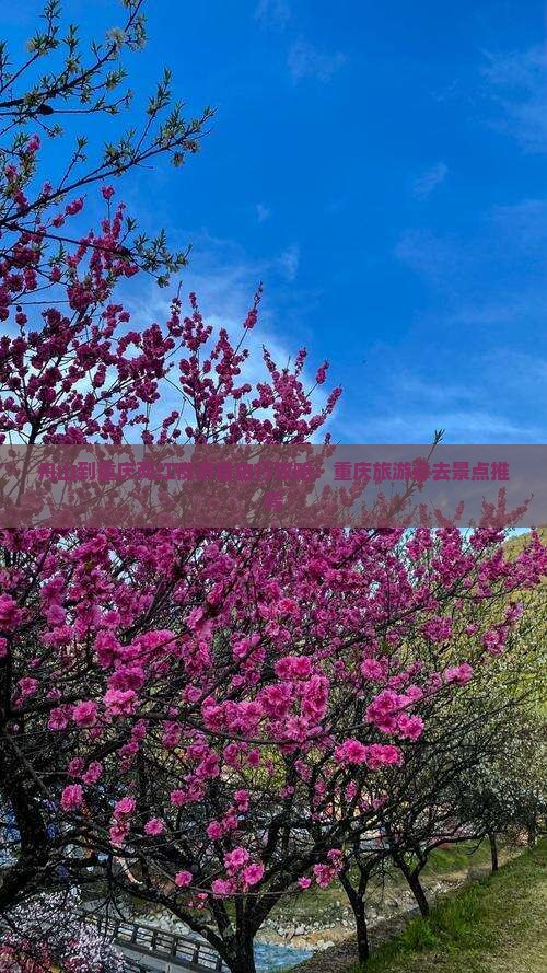 舟山到重庆两江夜游自由行