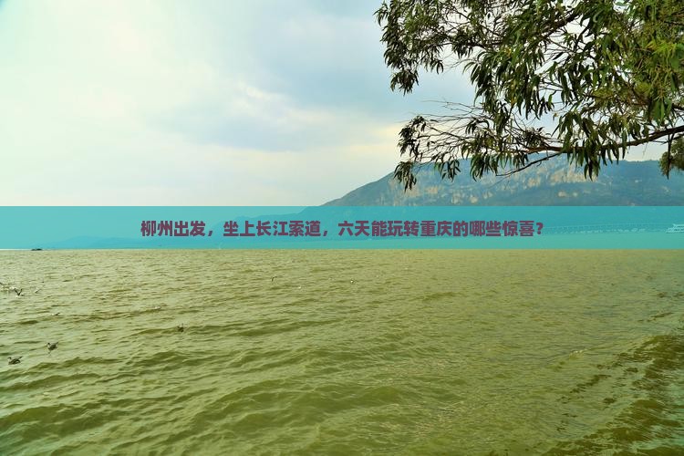 柳州到重庆长江索道六日游