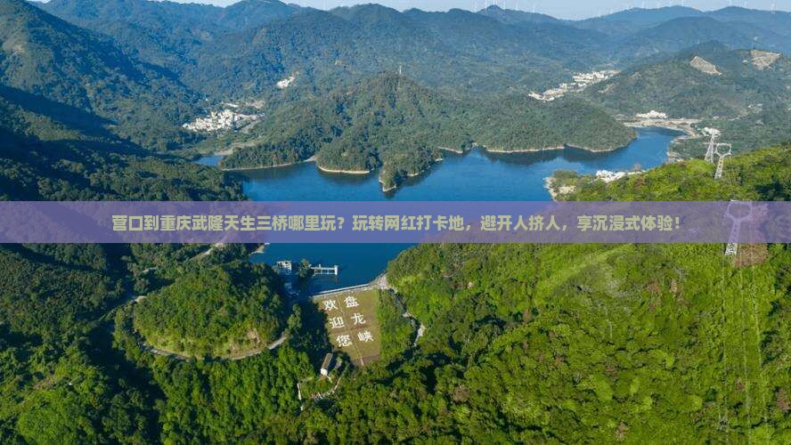 营口到重庆武隆天生三桥哪里玩