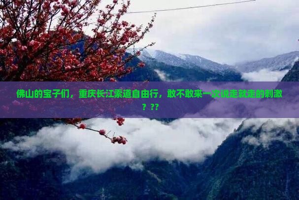 佛山去重庆长江索道自由团