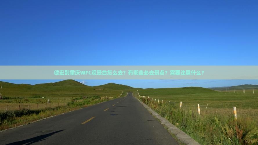 德宏到重庆wfc观景台必去地