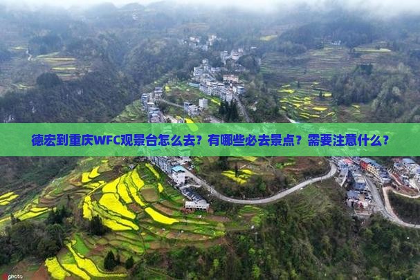 德宏到重庆wfc观景台必去地
