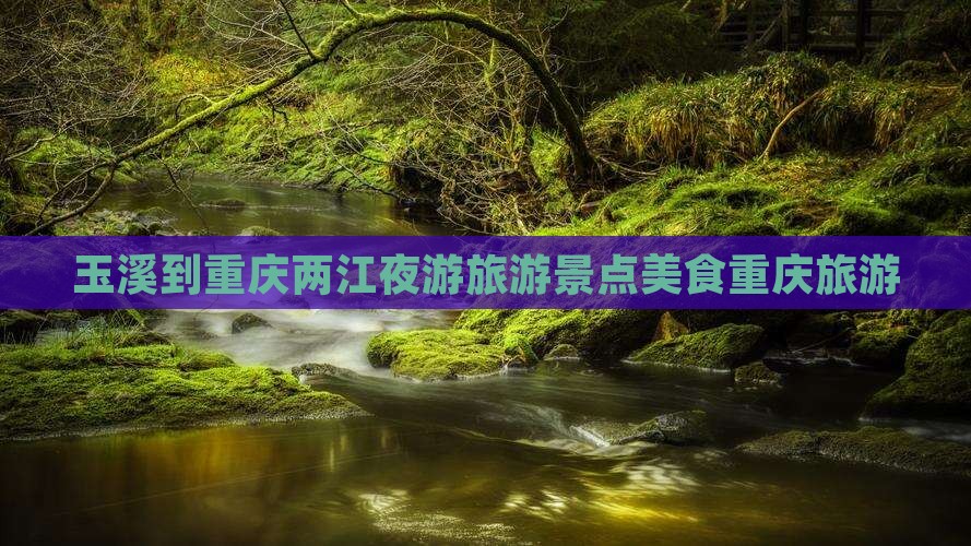 玉溪到重庆两江夜游旅游小吃
