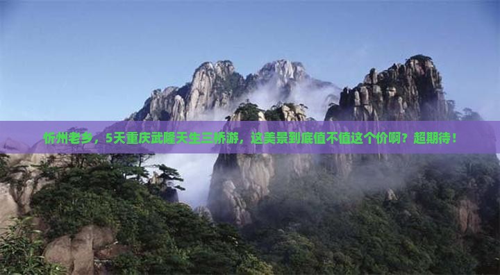 忻州到重庆武隆天生三桥五日游