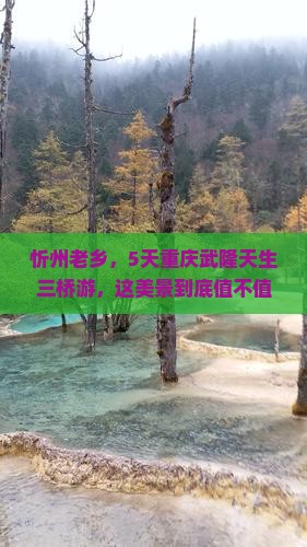 忻州到重庆武隆天生三桥五日游