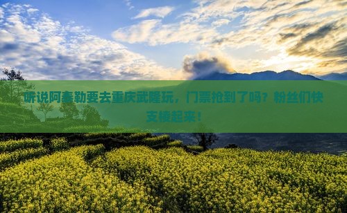 阿泰勒去重庆武隆门票
