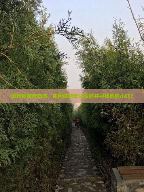 沧州到重庆长江索道旅游小吃