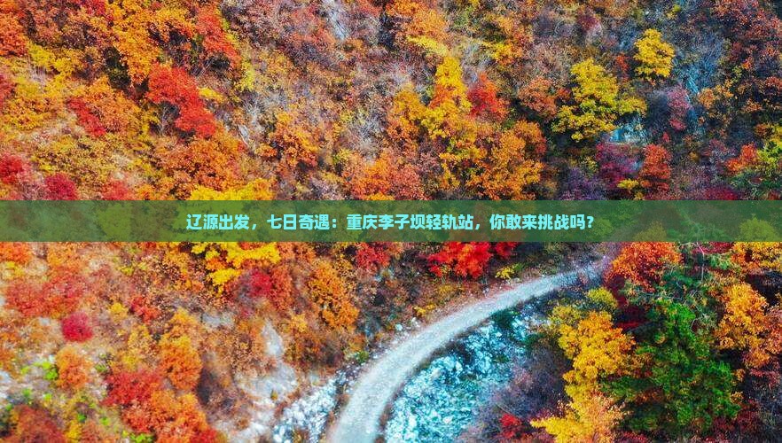 辽源到重庆李子坝轻轨站七日游