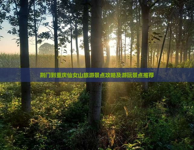 荆门去重庆仙女山哪里玩