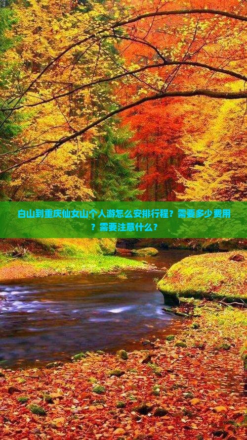 白山到重庆仙女山个人游