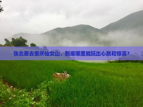 张北去重庆仙女山哪里玩