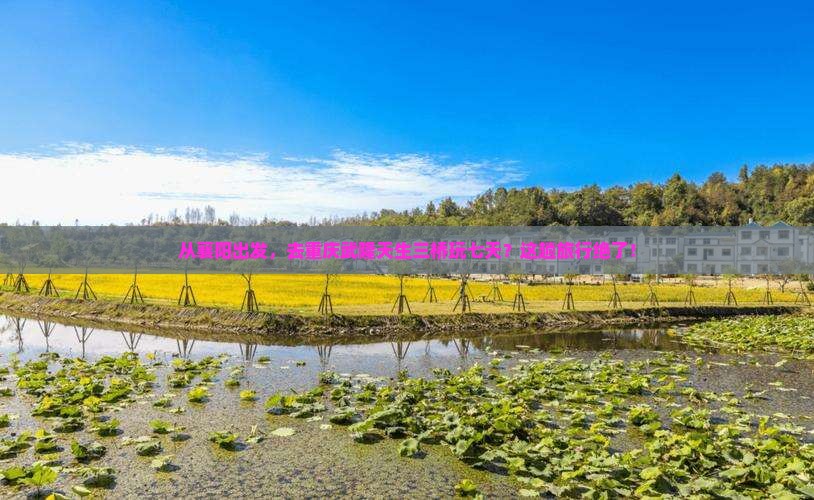 襄阳到重庆武隆天生三桥七日游