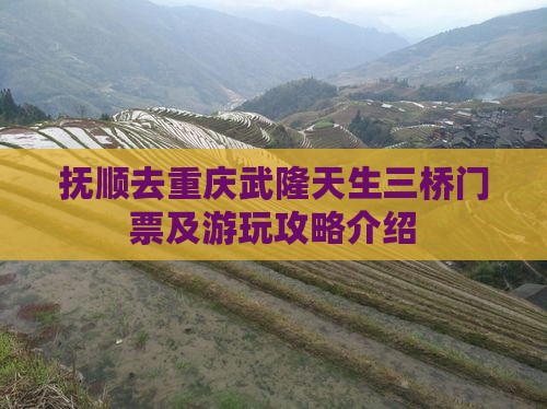 抚顺去重庆武隆天生三桥门票