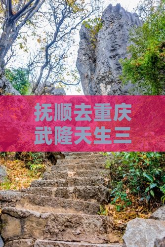 抚顺去重庆武隆天生三桥门票
