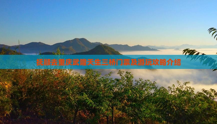 抚顺去重庆武隆天生三桥门票