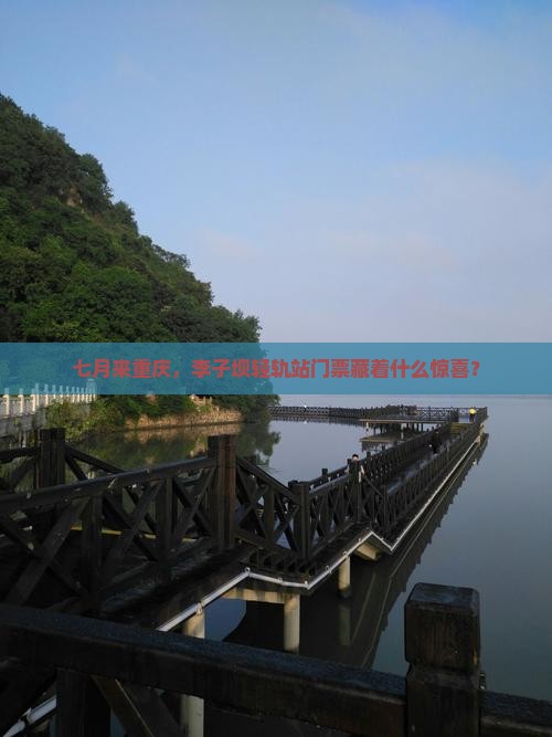 七月到重庆李子坝轻轨站门票