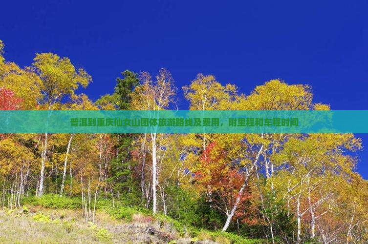 普洱到重庆仙女山团体旅游