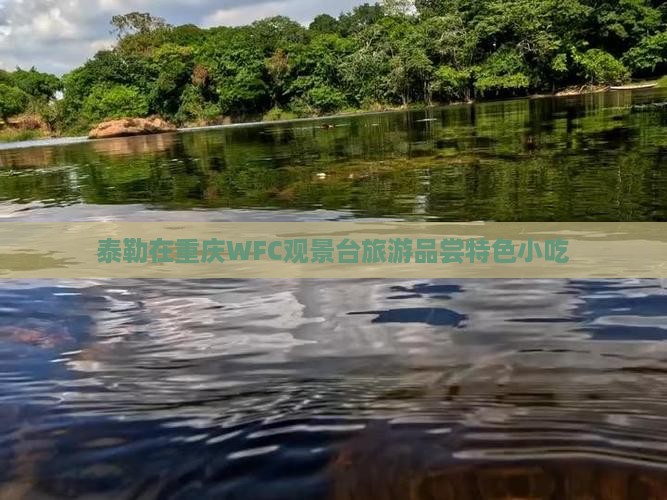 阿泰勒到重庆wfc观景台旅游小吃
