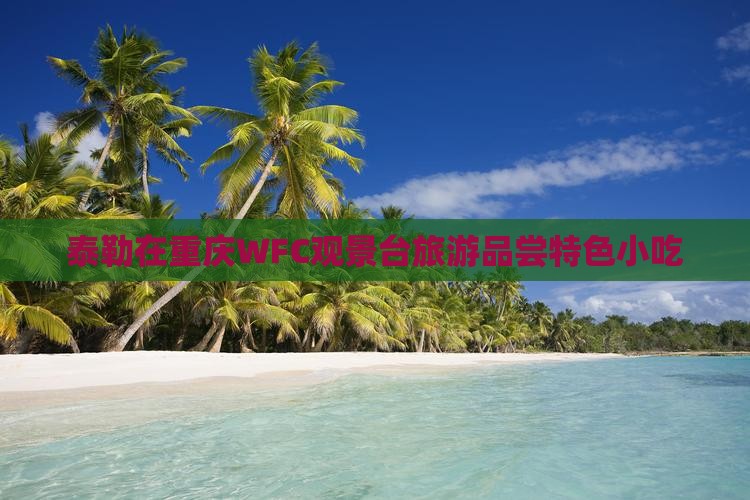 阿泰勒到重庆wfc观景台旅游小吃