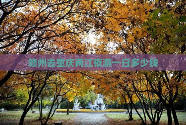 赣州去重庆两江夜游一日