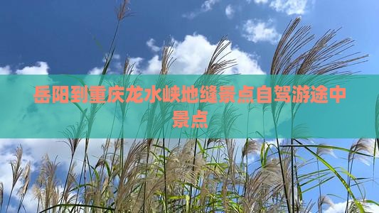 岳阳到重庆龙水峡地缝景点