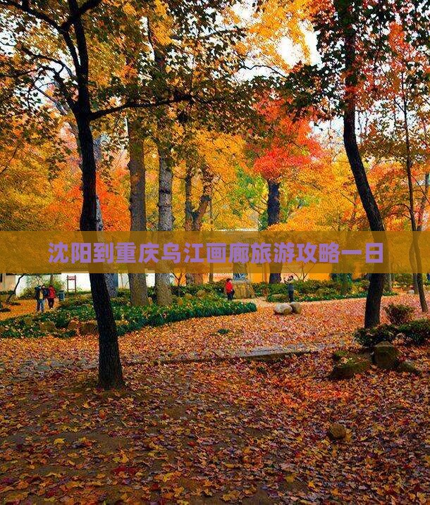 沈阳到重庆乌江画廊一日