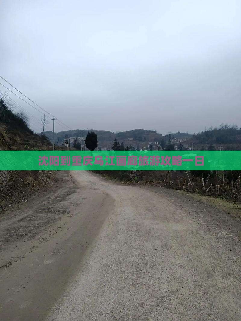 沈阳到重庆乌江画廊一日