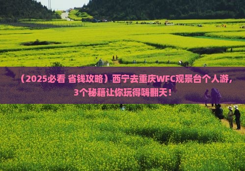 西宁去重庆wfc观景台个人游