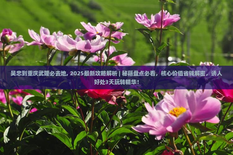 吴忠到重庆武隆必去地
