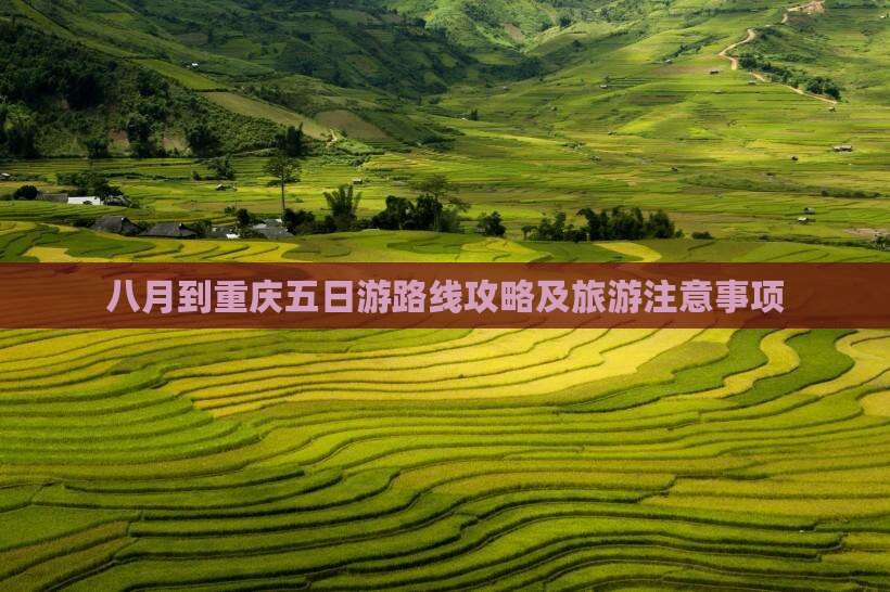 八月到重庆五日游