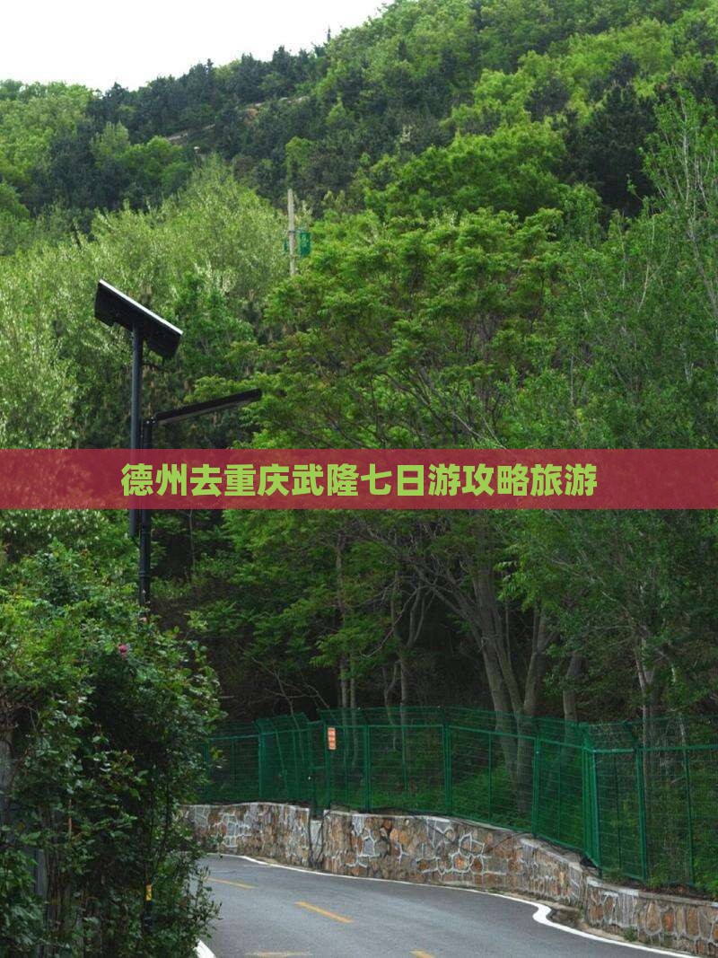 德州去重庆武隆七日游