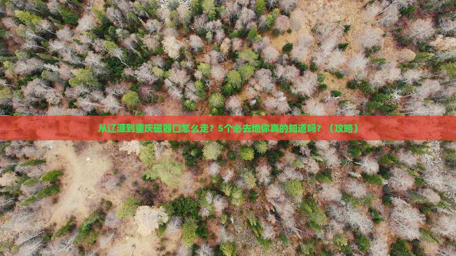辽源到重庆磁器口必去地