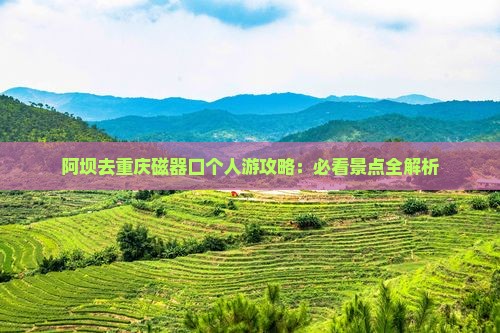 阿坝去重庆磁器口个人游