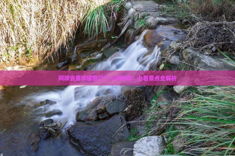 阿坝去重庆磁器口个人游