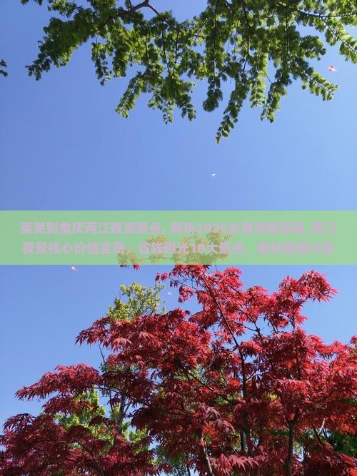 莱芜到重庆两江夜游景点