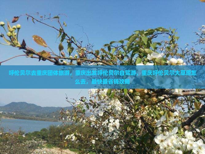 呼伦贝尔去重庆团体旅游