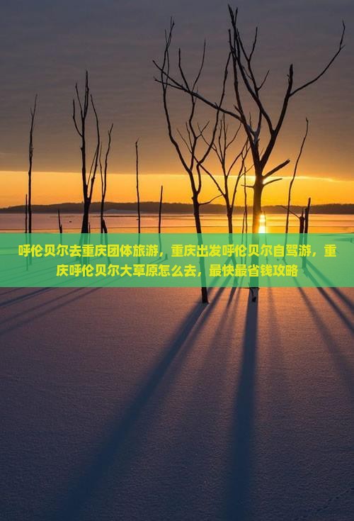 呼伦贝尔去重庆团体旅游