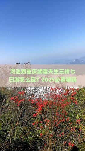 河池到重庆武隆天生三桥七日游