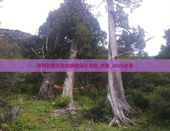 苏州到重庆龙水峡地缝必去地