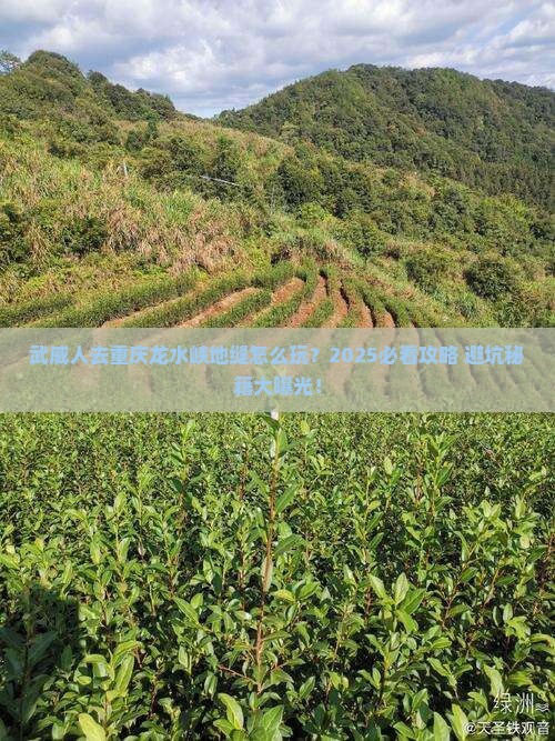 武威去重庆龙水峡地缝团体旅游