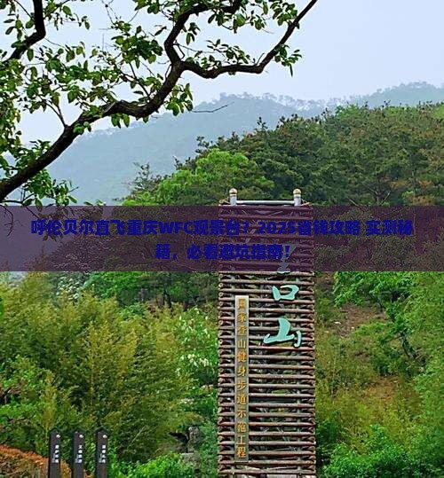 呼伦贝尔去重庆wfc观景台门票