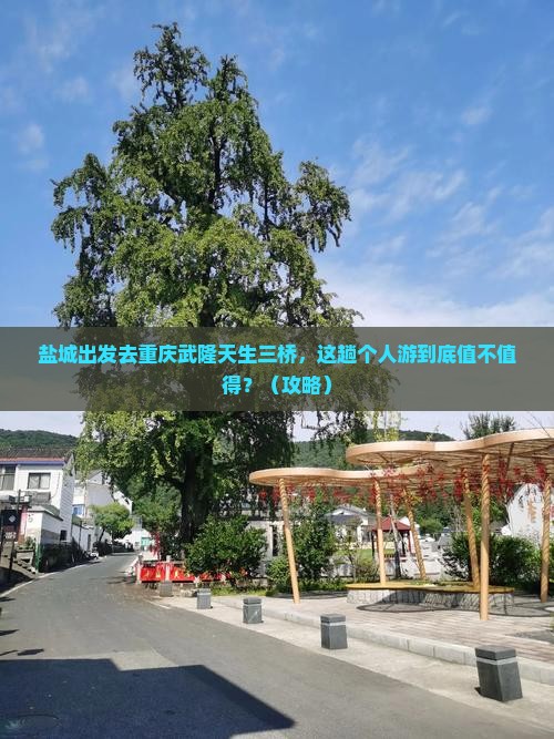 盐城去重庆武隆天生三桥个人游