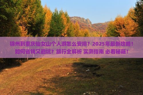 锦州到重庆仙女山个人游