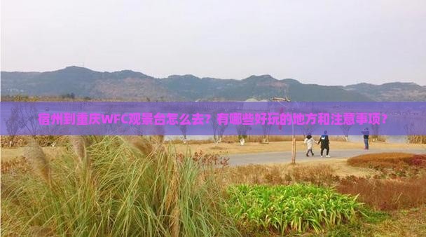 宿州到重庆wfc观景台哪里玩